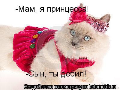 -Мам, я принцесса! -Сын, ты дебил!... Котоматрица: -Мам, я принцесса! -Сын, ты дебил!