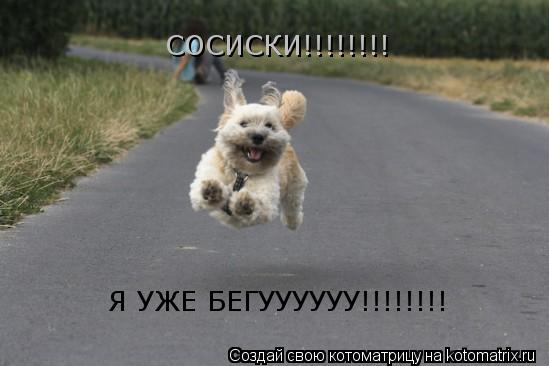 СОСИСКИ!!!!!!!! Я УЖЕ БЕГУУУУУУ!!!!!!!!... Котоматрица: СОСИСКИ!!!!!!!! Я УЖЕ БЕГУУУУУУ!!!!!!!!