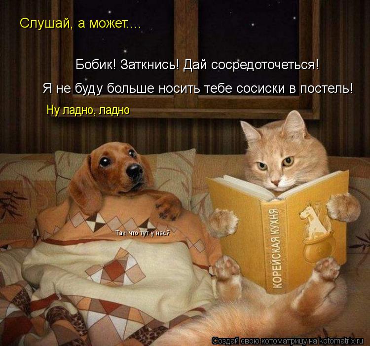 Слушай, а может.... Бобик! Заткнись! Дай сосредоточеться! Я не буду больше носить тебе сосиски в пост... Котоматрица: Слушай, а может.... Бобик! Заткнись! Дай сосредоточеться! Я не буду больше носить тебе сосиски в постель! Ну ладно, ладно Так! что тут у нас?