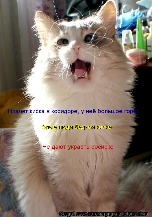 Плачет киска в коридоре, у неё большое горе! Злые люди бедной киске Не дают украсть сосиске... Котоматрица: Плачет киска в коридоре, у неё большое горе! Злые люди бедной киске Не дают украсть сосиске