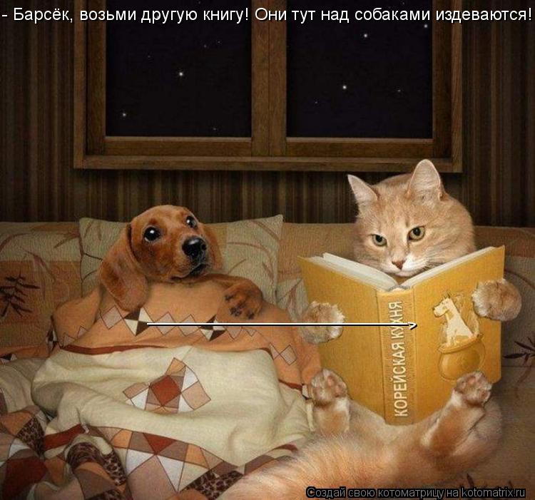 - Барсёк, возьми другую книгу! Они тут над собаками издеваются!!! ____________________________ ^... Котоматрица: - Барсёк, возьми другую книгу! Они тут над собаками издеваются!!! ____________________________ ^