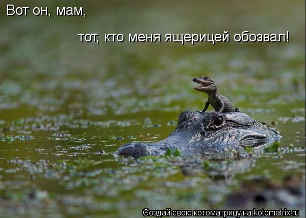Вот он, мам, тот, кто меня ящерицей обозвал!... Котоматрица: Вот он, мам, тот, кто меня ящерицей обозвал!