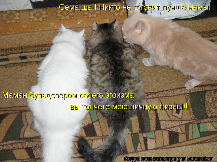 Маман,бульдозером своего эгоизма вы топчете мою личную жизнь!!! Сема,ша!! Никто не готовит лучше мамы... Котоматрица: Маман,бульдозером своего эгоизма вы топчете мою личную жизнь!!! Сема,ша!! Никто не готовит лучше мамы!!