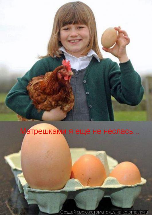 Матрёшками я ещё не неслась...... Котоматрица: Матрёшками я ещё не неслась...