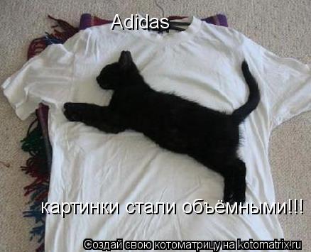 Adidas картинки стали объёмными!!!... Котоматрица: Adidas картинки стали объёмными!!!