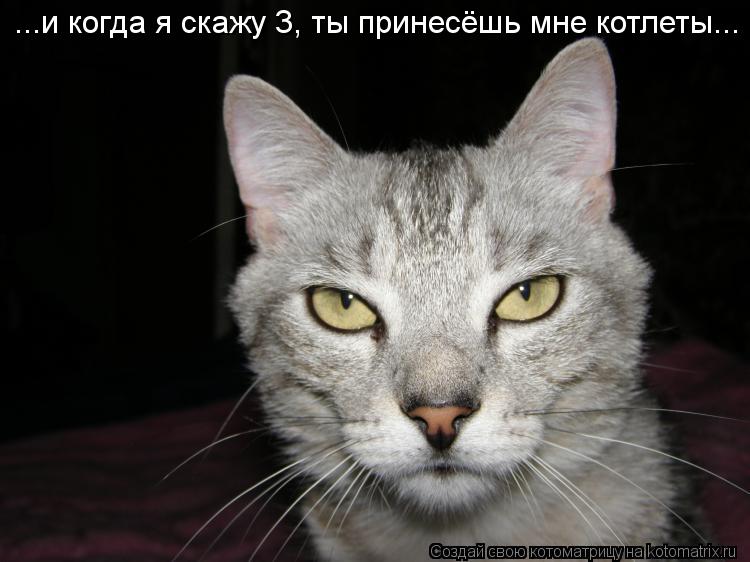 ...и когда я скажу 3, ты принесёшь мне котлеты...... Котоматрица: ...и когда я скажу 3, ты принесёшь мне котлеты...