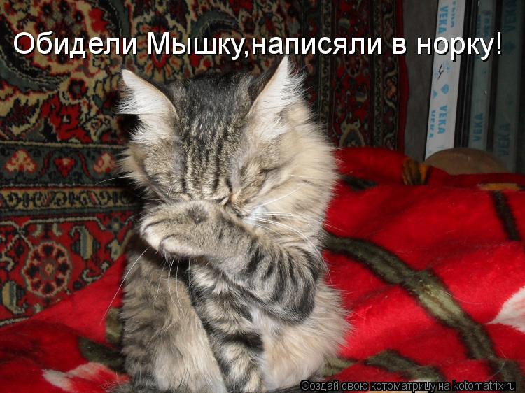 Обидели Мышку,написяли в норку!... Котоматрица: Обидели Мышку,написяли в норку!