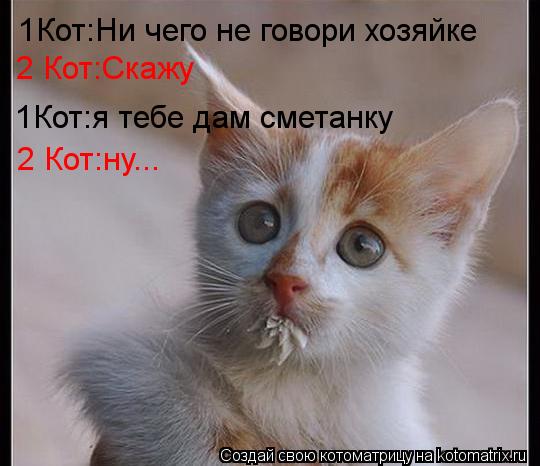 1Кот:Ни чего не говори хозяйке 2 Кот:Cкажу 1Кот:я тебе дам сметанку 2 Кот:ну...... Котоматрица: 1Кот:Ни чего не говори хозяйке 2 Кот:Cкажу 1Кот:я тебе дам сметанку 2 Кот:ну...