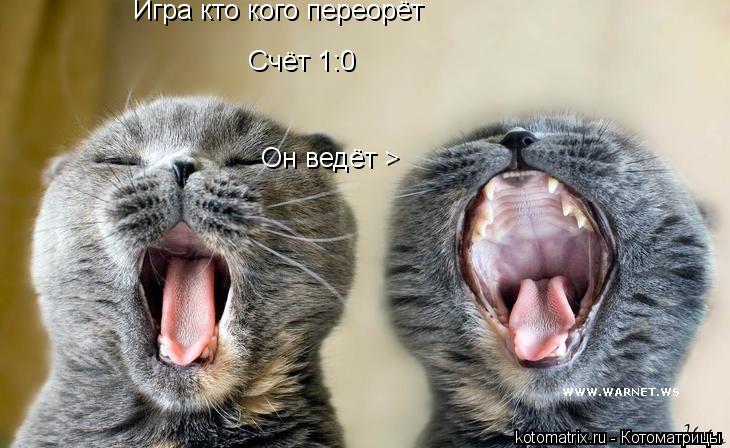 Игра кто кого переорёт Счёт 1:0 Он ведёт >... Котоматрица: Игра кто кого переорёт Счёт 1:0 Он ведёт >