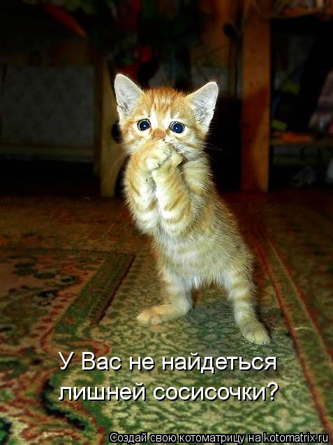 У Вас не найдеться лишней сосисочки? У Вас не найдеться лишней сосисочки?... Котоматрица: У Вас не найдеться лишней сосисочки? У Вас не найдеться лишней сосисочки?