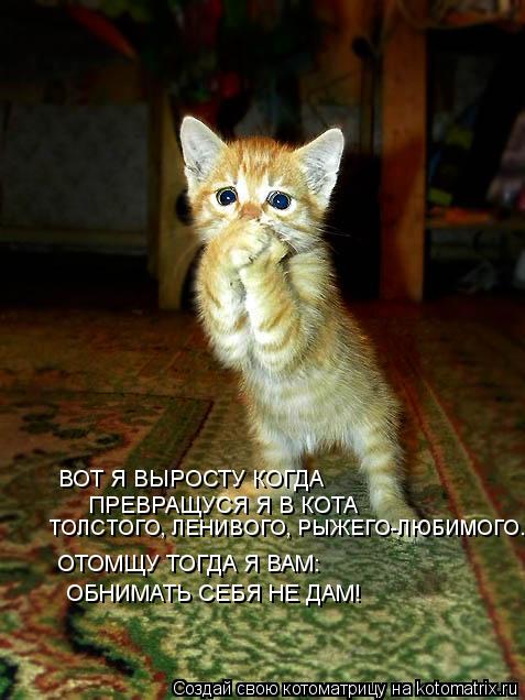 ВОТ Я ВЫРОСТУ КОГДА ПРЕВРАЩУСЯ Я В КОТА ТОЛСТОГО, ЛЕНИВОГО, РЫЖЕГО-ЛЮБИМОГО..... ОТОМЩУ ТОГДА Я ВАМ: ... Котоматрица: ВОТ Я ВЫРОСТУ КОГДА ПРЕВРАЩУСЯ Я В КОТА ТОЛСТОГО, ЛЕНИВОГО, РЫЖЕГО-ЛЮБИМОГО..... ОТОМЩУ ТОГДА Я ВАМ: ОБНИМАТЬ СЕБЯ НЕ ДАМ!