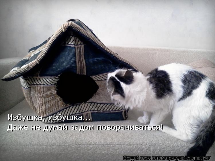 Котоматрица: Избушка, избушка..… Даже не думай задом поворачиваться!