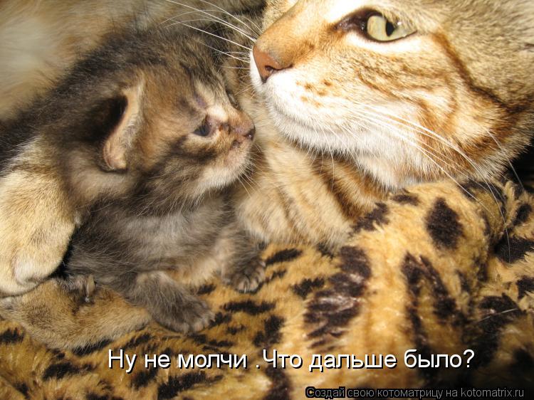 Ну не молчи .Что дальше было?... Котоматрица: Ну не молчи .Что дальше было?