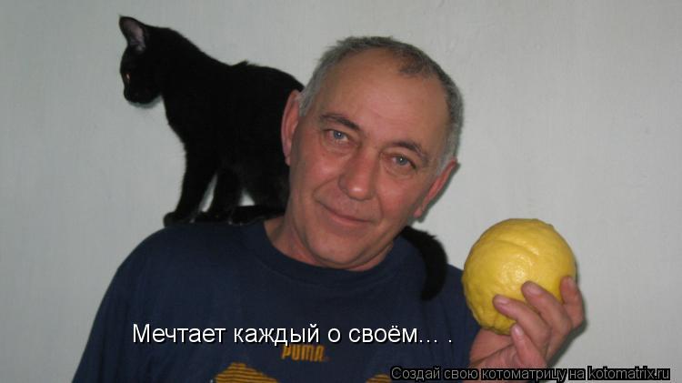 Мечтает каждый о своём... .... Котоматрица: Мечтает каждый о своём... .