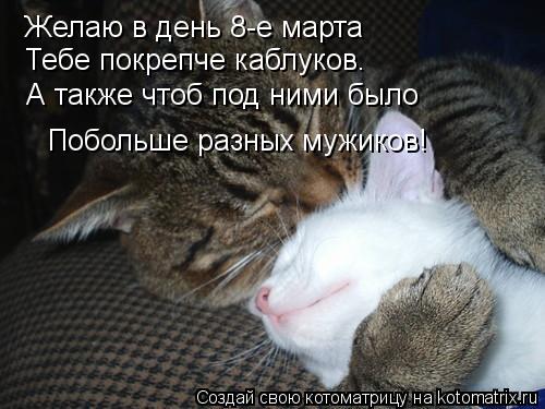 Желаю в день 8-е марта Тебе покрепче каблуков. А также чтоб под ними было Побольше разных мужиков!... Котоматрица: Желаю в день 8-е марта Тебе покрепче каблуков. А также чтоб под ними было Побольше разных мужиков!