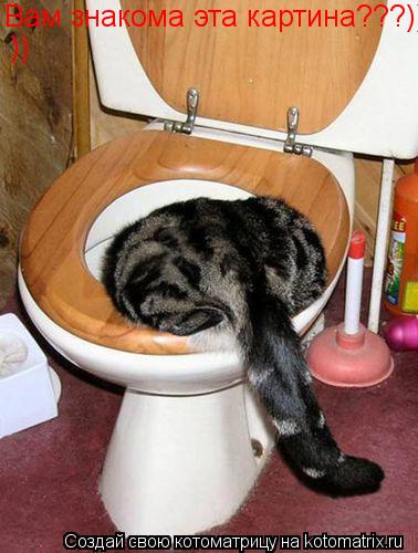Вам знакома эта картина???))) ))... Котоматрица: Вам знакома эта картина???))) ))