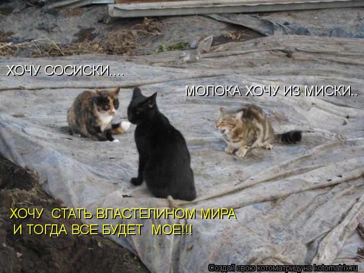 ХОЧУ СОСИСКИ.... МОЛОКА ХОЧУ ИЗ МИСКИ.. ХОЧУ СТАТЬ ВЛАСТЕЛИНОМ МИРА И ТОГДА ВСЕ БУДЕТ МОЕ!!!... Котоматрица: ХОЧУ СОСИСКИ.... МОЛОКА ХОЧУ ИЗ МИСКИ.. ХОЧУ СТАТЬ ВЛАСТЕЛИНОМ МИРА И ТОГДА ВСЕ БУДЕТ МОЕ!!!
