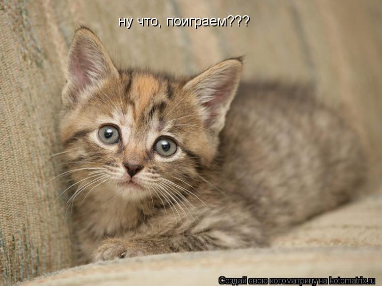 ну что, поиграем???... Котоматрица: ну что, поиграем???