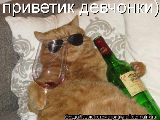 приветик девчонки)... Котоматрица: приветик девчонки)