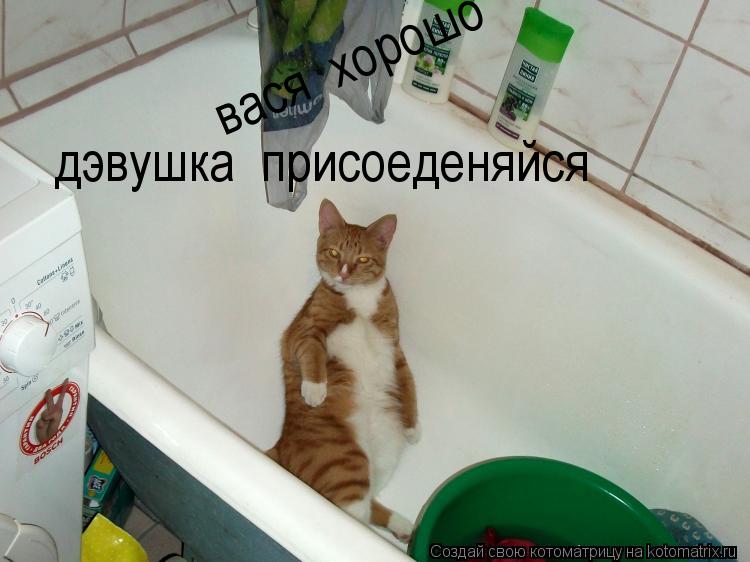 вася хорошо дэвушка присоеденяйся... Котоматрица: вася хорошо дэвушка присоеденяйся