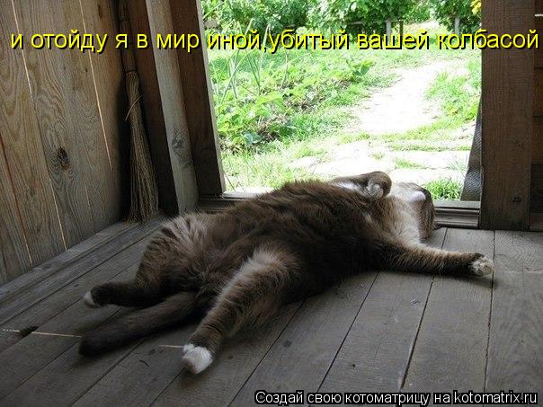 и отойду я в мир иной,убитый вашей колбасой... Котоматрица: и отойду я в мир иной,убитый вашей колбасой