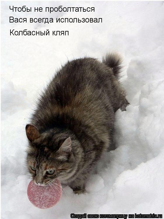 Чтобы не проболтаться Вася всегда использовал Колбасный кляп... Котоматрица: Чтобы не проболтаться Вася всегда использовал Колбасный кляп