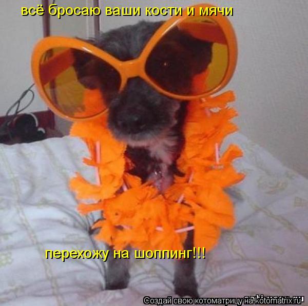 всё бросаю ваши кости и мячи перехожу на шоппинг!!!... Котоматрица: всё бросаю ваши кости и мячи перехожу на шоппинг!!!