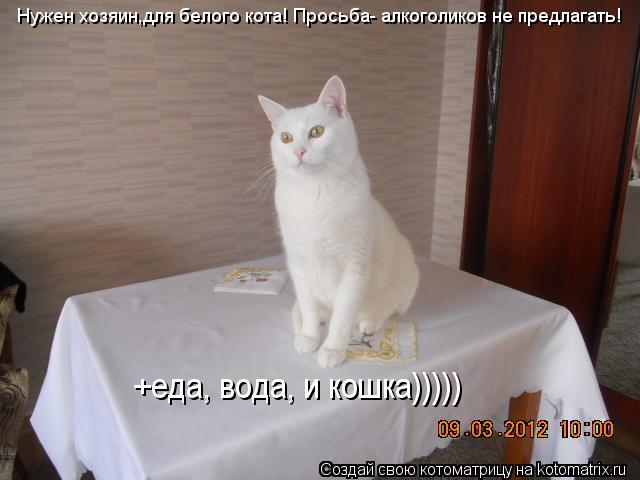 Нужен хозяин,для белого кота! Просьба- алкоголиков не предлагать! +еда, вода, и кошка)))))... Котоматрица: Нужен хозяин,для белого кота! Просьба- алкоголиков не предлагать! +еда, вода, и кошка)))))