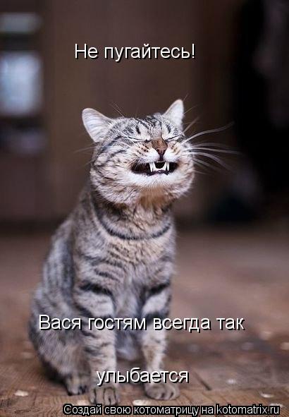 Не пугайтесь! Вася гостям всегда так улыбается... Котоматрица: Не пугайтесь! Вася гостям всегда так улыбается