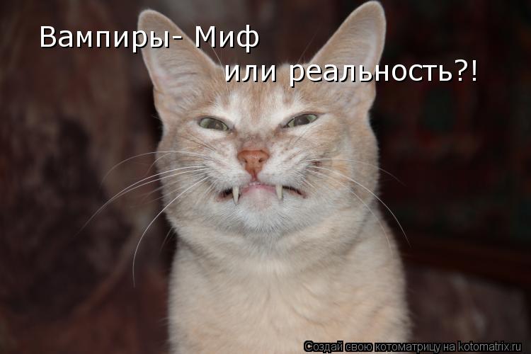 Вампиры- Миф или реальность?!... Котоматрица: Вампиры- Миф или реальность?!