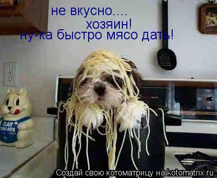 не вкусно.... хозяин! ну-ка быстро мясо дать!... Котоматрица: не вкусно.... хозяин! ну-ка быстро мясо дать!