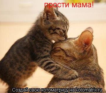 прости мама!... Котоматрица: прости мама!