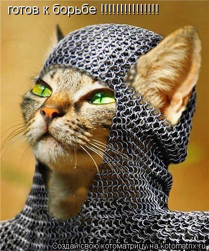 готов к борьбе !!!!!!!!!!!!!!!... Котоматрица: готов к борьбе !!!!!!!!!!!!!!!