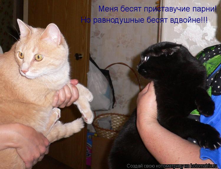 Меня бесят приставучие парни! Но равнодушные бесят вдвойне!!!... Котоматрица: Меня бесят приставучие парни! Но равнодушные бесят вдвойне!!!