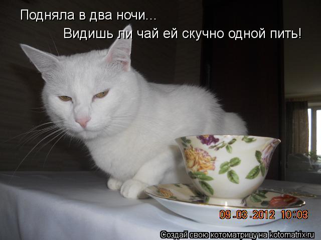Подняла в два ночи... Видишь ли чай ей скучно одной пить!... Котоматрица: Подняла в два ночи... Видишь ли чай ей скучно одной пить!