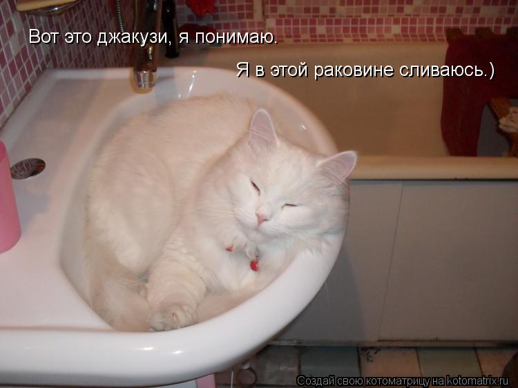 Вот это джакузи, я понимаю. Я в этой раковине сливаюсь.)... Котоматрица: Вот это джакузи, я понимаю. Я в этой раковине сливаюсь.)