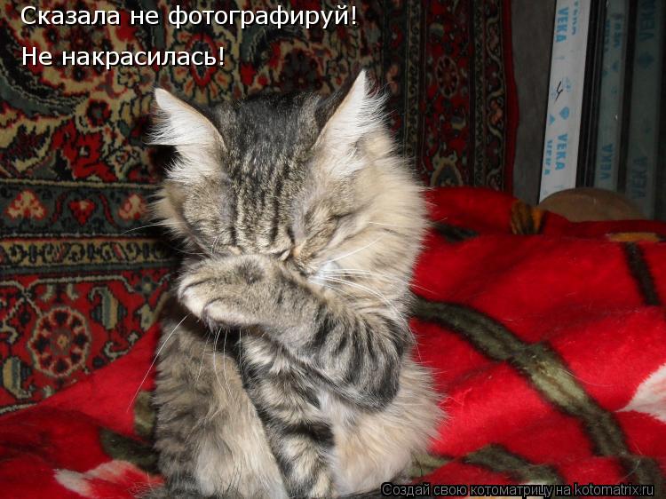 Сказала не фотографируй! Не накрасилась!... Котоматрица: Сказала не фотографируй! Не накрасилась!