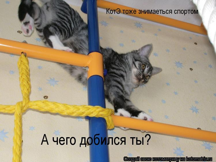 КотЭ тоже знимаеться спортом А чего добился ты?... Котоматрица: КотЭ тоже знимаеться спортом А чего добился ты?