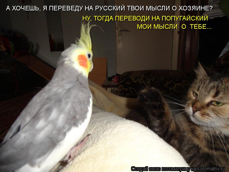 А ХОЧЕШЬ, Я ПЕРЕВЕДУ НА РУССКИЙ ТВОИ МЫСЛИ О ХОЗЯИНЕ? НУ, ТОГДА ПЕРЕВОДИ НА ПОПУГАЙСКИЙ МОИ МЫСЛИ О ... Котоматрица: А ХОЧЕШЬ, Я ПЕРЕВЕДУ НА РУССКИЙ ТВОИ МЫСЛИ О ХОЗЯИНЕ? НУ, ТОГДА ПЕРЕВОДИ НА ПОПУГАЙСКИЙ МОИ МЫСЛИ О ТЕБЕ...