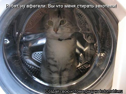 Котоматрица: Ребят, ну афегели. Вы что меня стирать захотели!