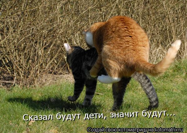 Сказал будут дети, значит будут...... Котоматрица: Сказал будут дети, значит будут...