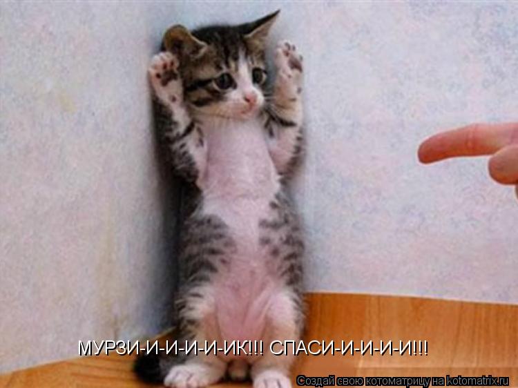 МУРЗИ-И-И-И-И-ИК!!! СПАСИ-И-И-И-И!!!... Котоматрица: МУРЗИ-И-И-И-И-ИК!!! СПАСИ-И-И-И-И!!!