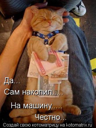 Сам накопил..... На машину..... Да... Честно... Честно...... Котоматрица: Сам накопил..... На машину..... Да... Честно... Честно...