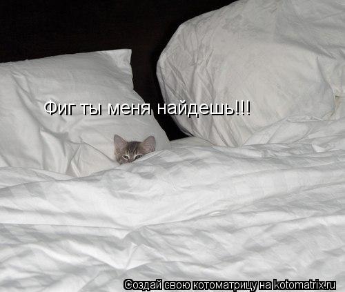 Фиг ты меня найдешь!!!... Котоматрица: Фиг ты меня найдешь!!!