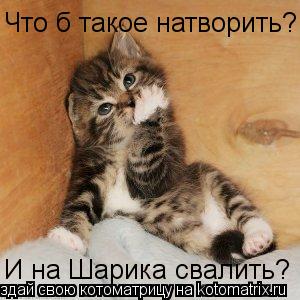 Что б такое натворить? И на Шарика свалить?... Котоматрица: Что б такое натворить? И на Шарика свалить?