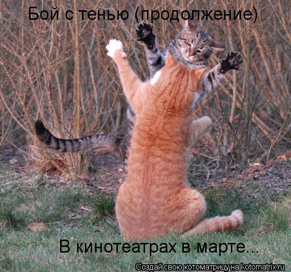 Бой с тенью (продолжение) В кинотеатрах в марте...... Котоматрица: Бой с тенью (продолжение) В кинотеатрах в марте...
