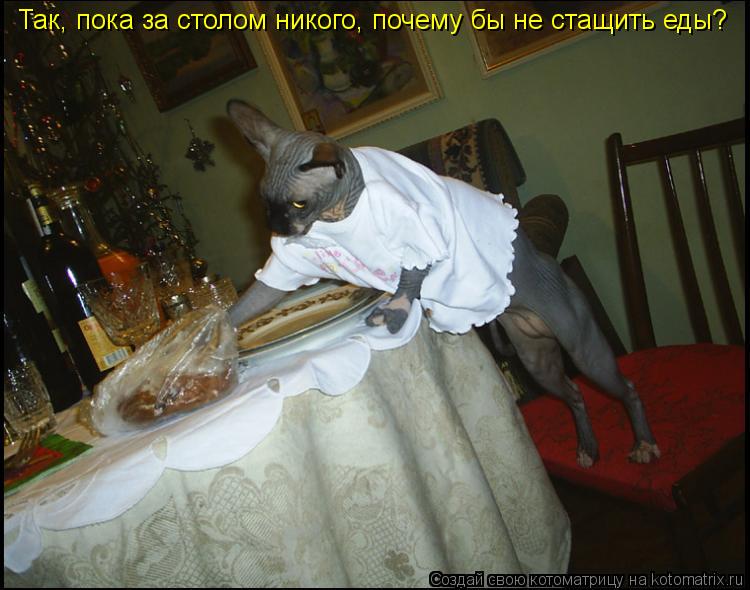 Так, пока за столом никого, почему бы не стащить еды?... Котоматрица: Так, пока за столом никого, почему бы не стащить еды?