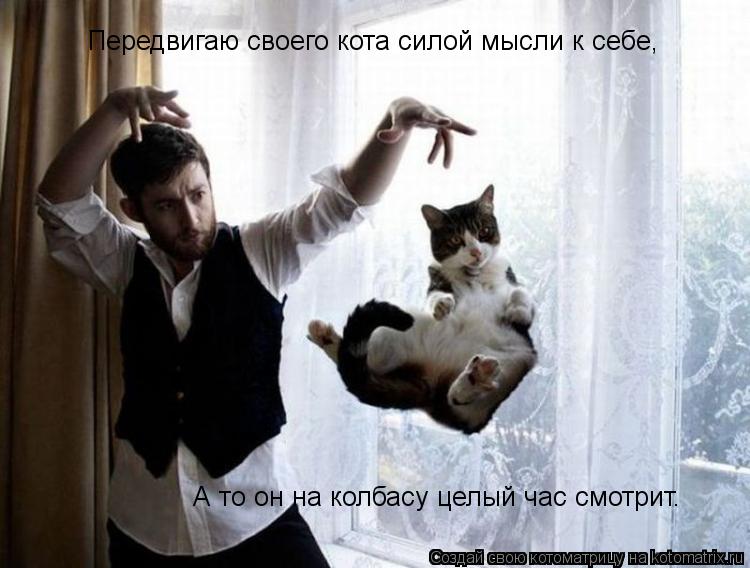 Передвигаю своего кота силой мысли к себе, А то он на колбасу целый час смотрит.... Котоматрица: Передвигаю своего кота силой мысли к себе, А то он на колбасу целый час смотрит.