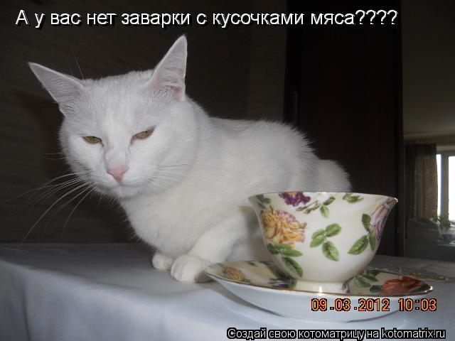 А у вас нет заварки с кусочками мяса???? А у вас нет заварки с кусочками мяса????... Котоматрица: А у вас нет заварки с кусочками мяса???? А у вас нет заварки с кусочками мяса????