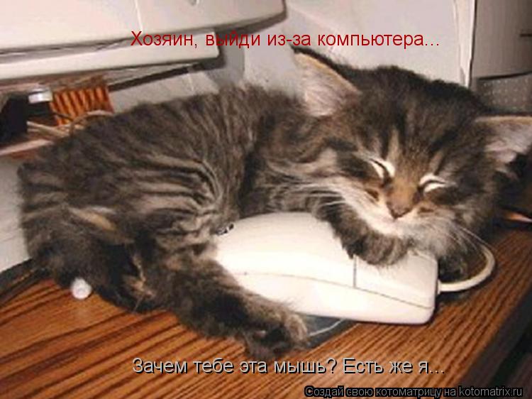 Хозяин, выйди из-за компьютера... Зачем тебе эта мышь? Есть же я...... Котоматрица: Хозяин, выйди из-за компьютера... Зачем тебе эта мышь? Есть же я...